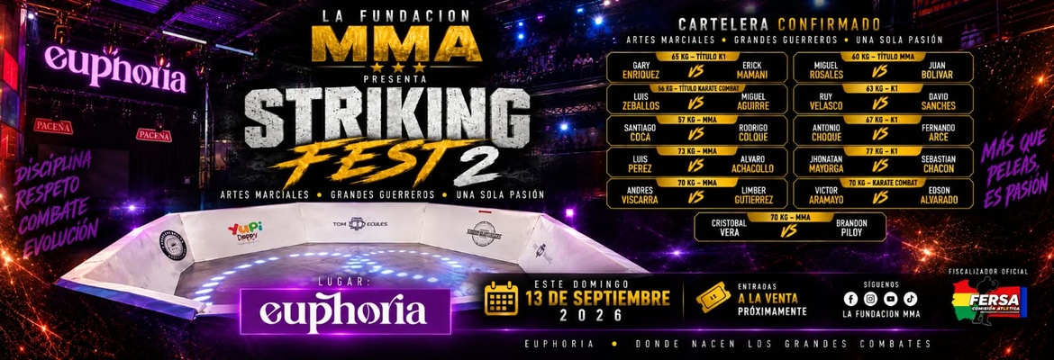 MMA STRIKING FEST 2